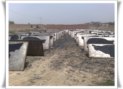 OU-UP Wastewater Bioremediation Project Leather Tanning Site