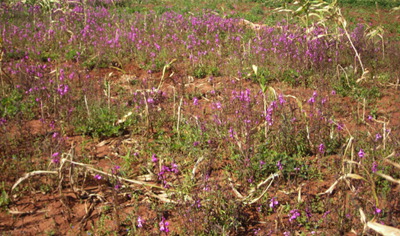 Ethiopia Partnership Picture 1