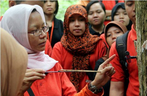 2-409_Co-PI Dr. Intan Suci Nurhati explaining tree sampling method.bmp