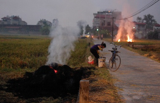 1-243 Rice straw burning