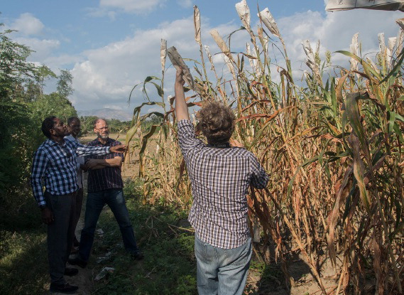 4-245 Biofuel Plantation Site Visit