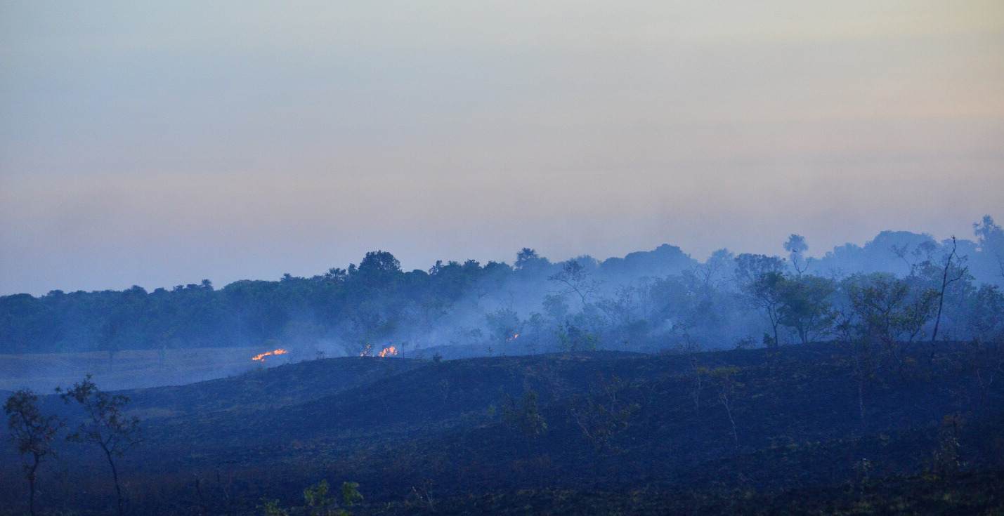 5-331 Fires occurring in the Savannah forest in the Bita region