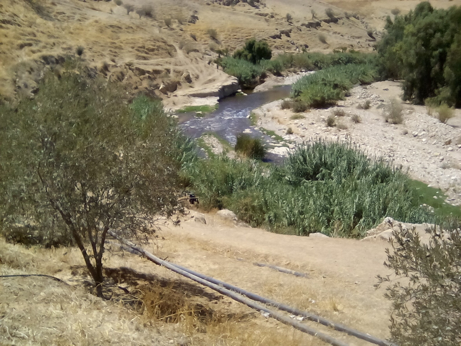 4-369_ Subsection of the upper Zarqa river reach (photo taken September 4 2016)