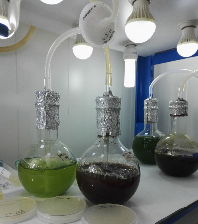 6-308_Apr-Jun 2018_Indoor microalgae cultivation in pretreated Olive Mill Wastew