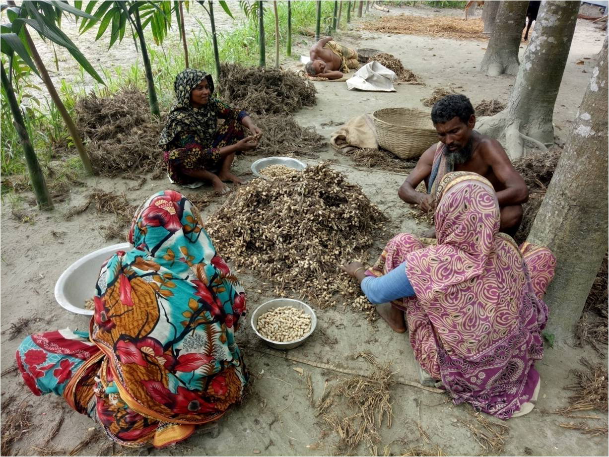 6-005_Bhandari_A smallholder farm family preparing groundnut to sell in a market