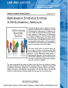 Juvenile Justice Briefing - practitioner highlights