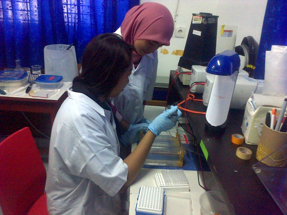 Undergrad team members conducting electrophoresis