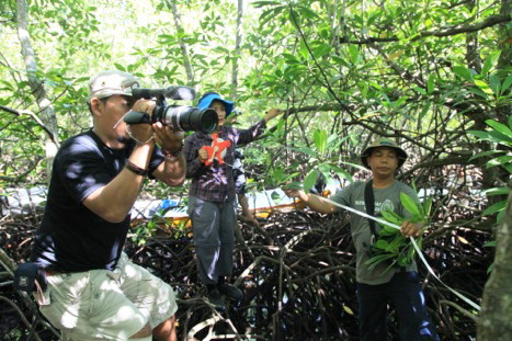 1-152 Mangrove Video Shoot
