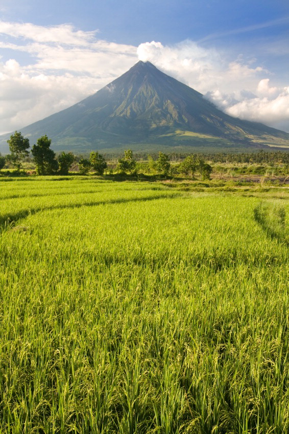 3-236 Mount Mayon