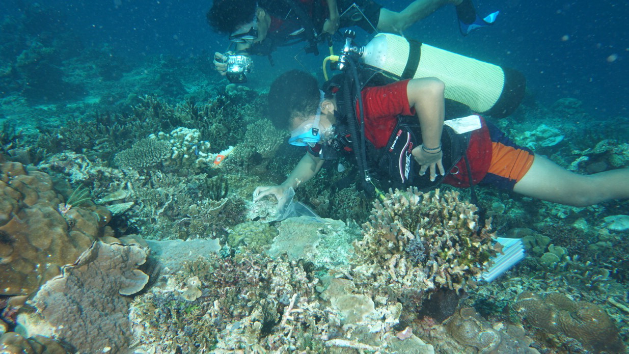 4-012 Reef Inspection and Data Gathering