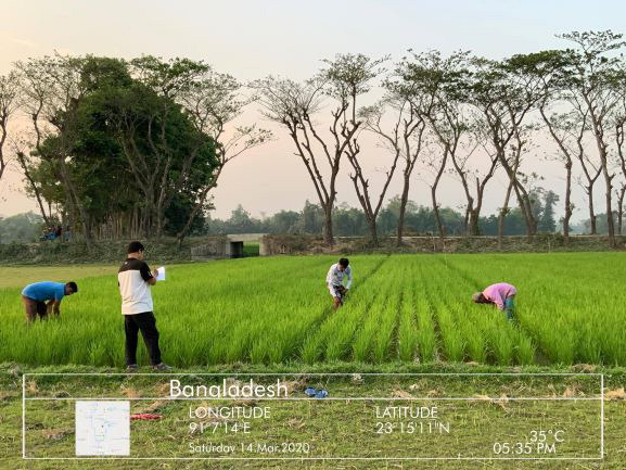 6-10 Panna field work