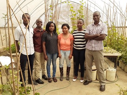 8-174 Plant Breeding Team