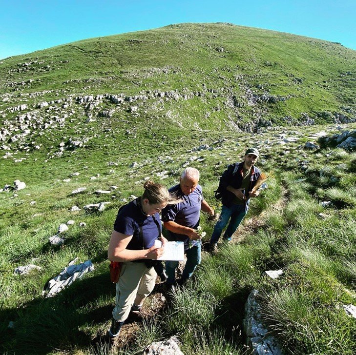 9-176_Hajdari_Some moments during collecting the plant material and interviewing